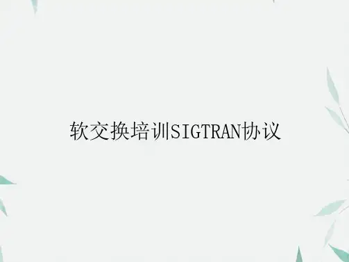 软交换培训SIGTRAN协议