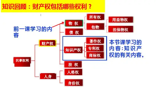 2.2尊重知识产权 课件-高中政治统编版选择性必修二法律与生活