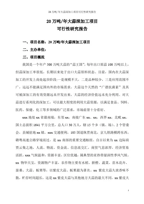 大蒜深加工项目投资商业计划书