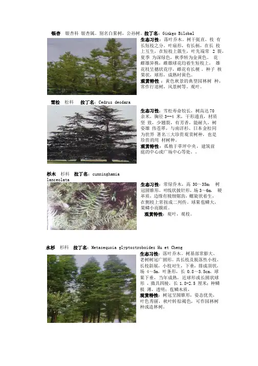 南方常见植物
