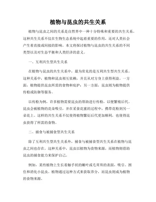 植物与昆虫的共生关系