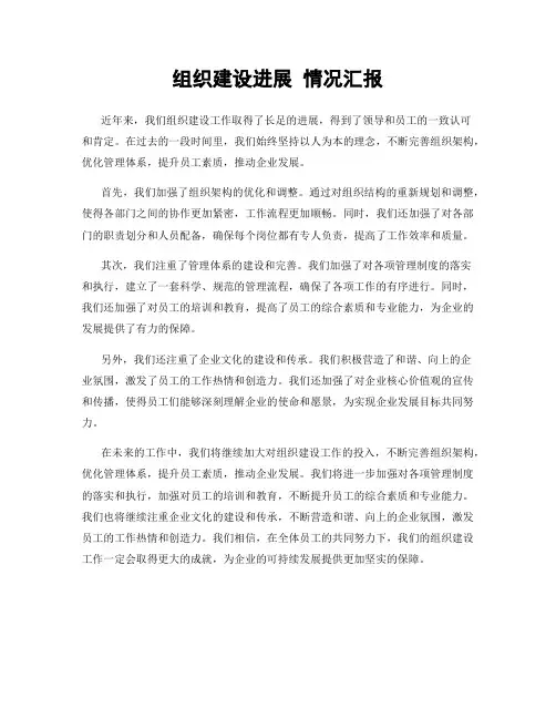 组织建设进展 情况汇报