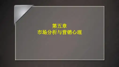 第五章  市场分析与营销心理  《市场营销心理学》PPT课件