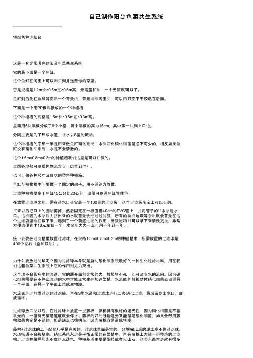 自己制作阳台鱼菜共生系统