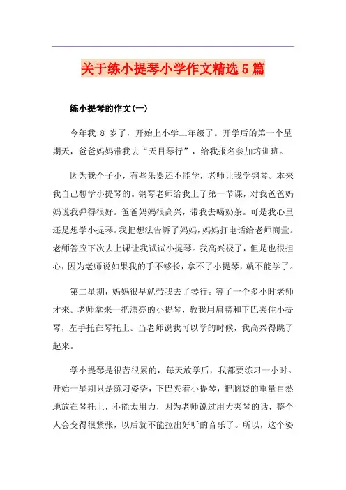 关于练小提琴小学作文精选5篇