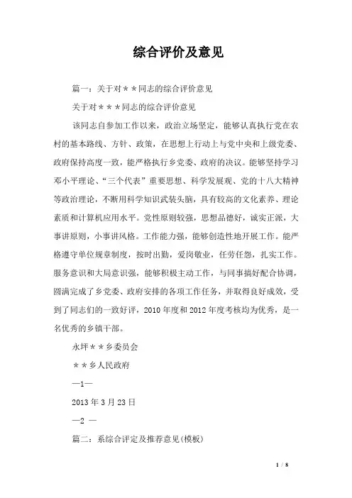 综合评价及意见