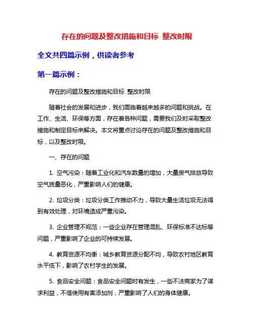 存在的问题及整改措施和目标 整改时限