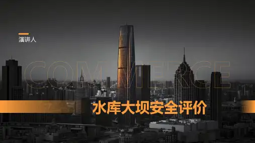 水库大坝安全评价