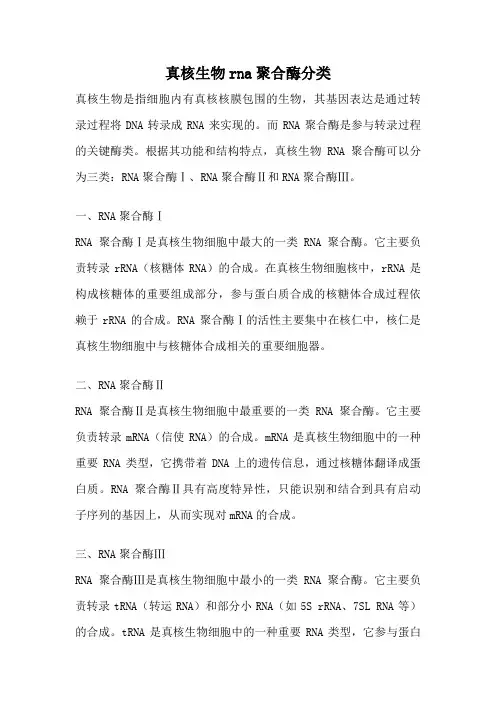 真核生物rna聚合酶分类