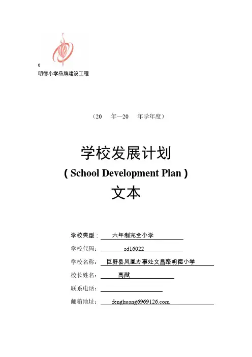 学校发展计划文本(空白)