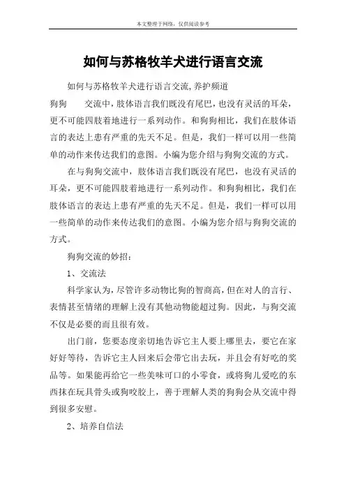 如何与苏格牧羊犬进行语言交流