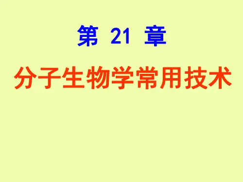 分子印迹与杂交技术