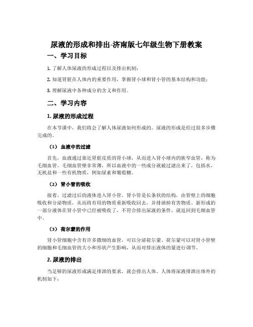 尿液的形成和排出-济南版七年级生物下册教案