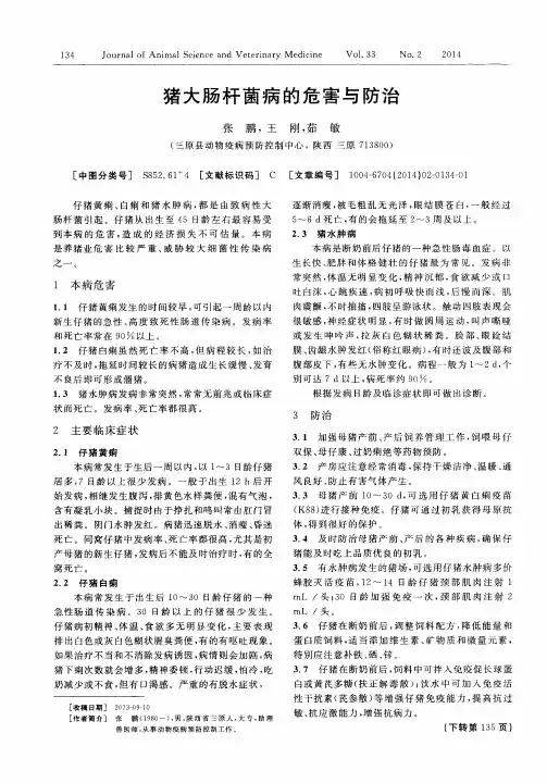猪大肠杆菌病的危害与防治