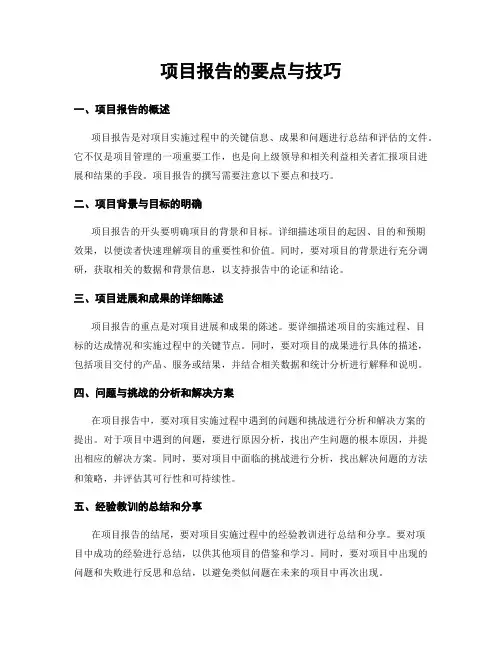 项目报告的要点与技巧
