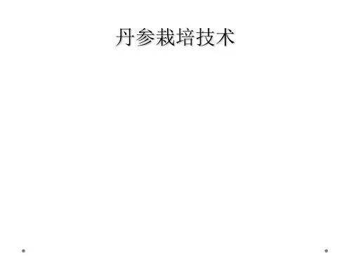 丹参栽培技术