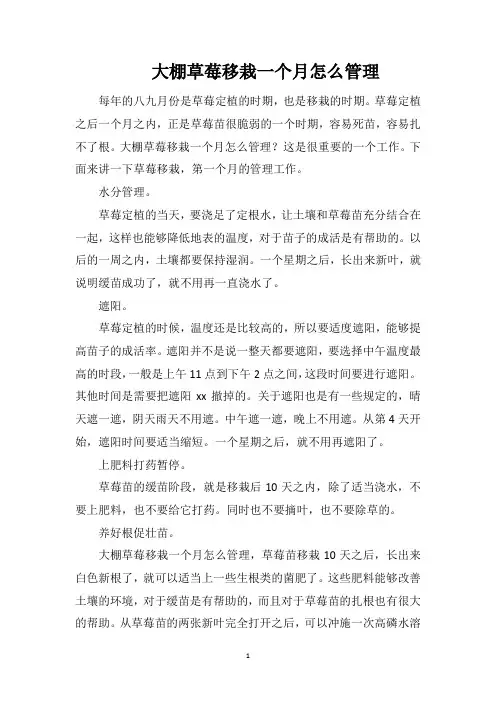 大棚草莓移栽一个月怎么管理