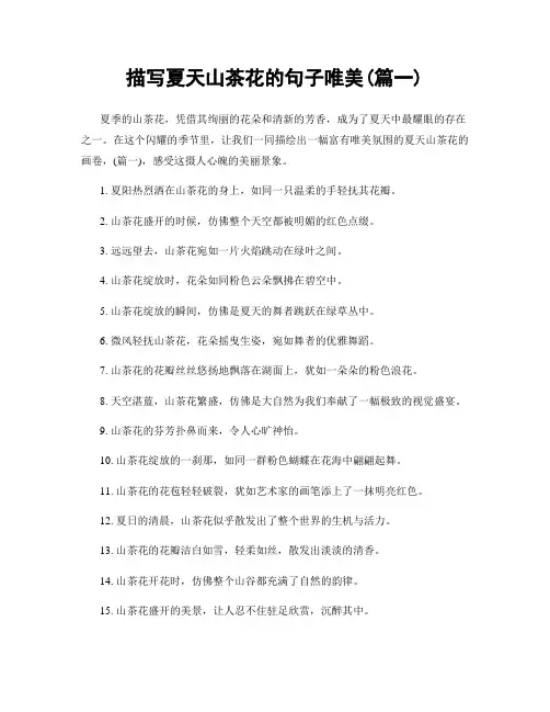 描写夏天山茶花的句子唯美(精选合集2篇)