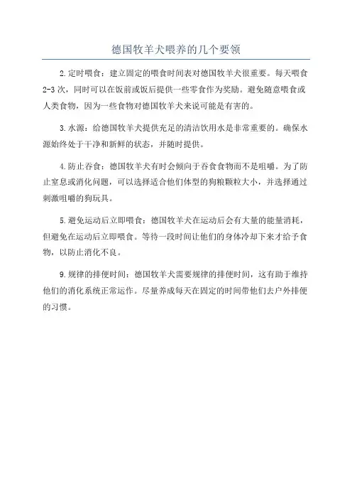 德国牧羊犬喂养的几个要领