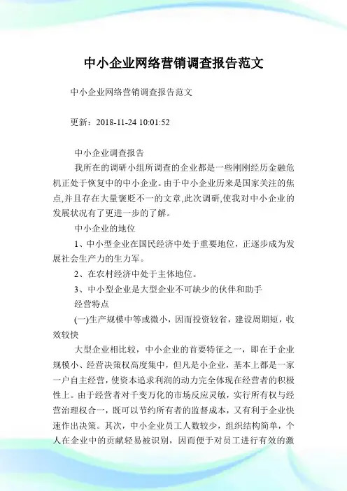 中小企业网络营销调查报告范文.doc