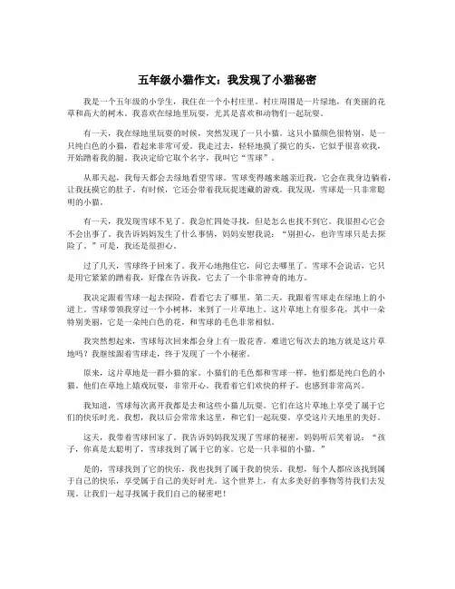 五年级小猫作文：我发现了小猫秘密