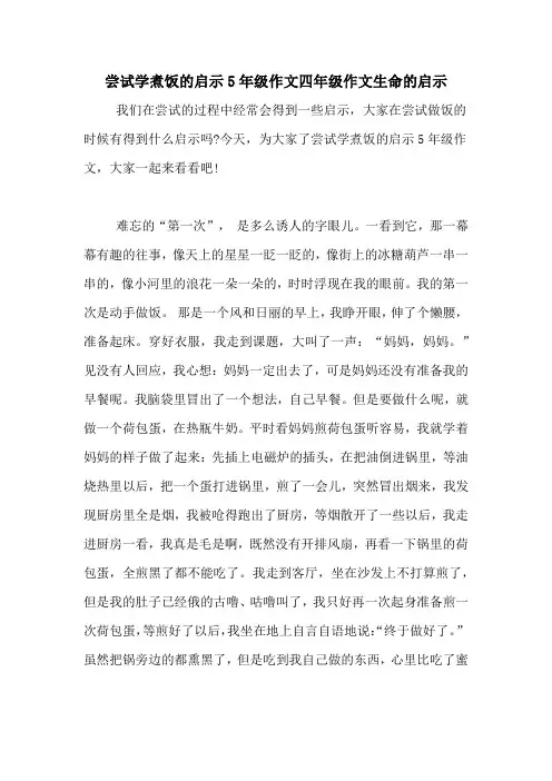 尝试学煮饭的启示5年级作文四年级作文生命的启示