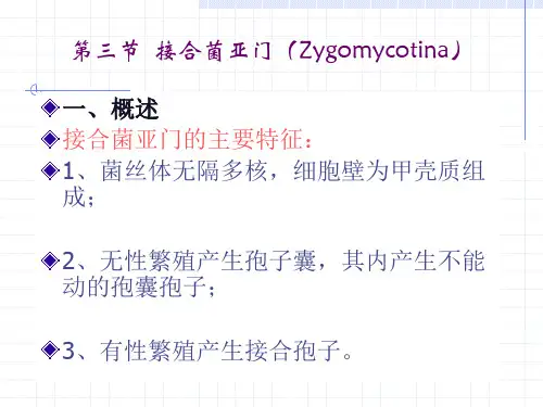 第三节_接合菌亚门