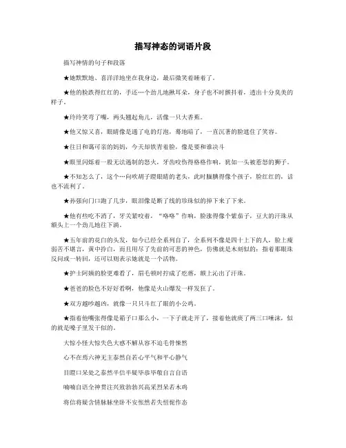 描写神态的词语片段