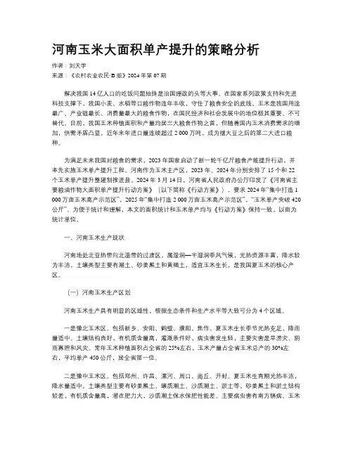河南玉米大面积单产提升的策略分析