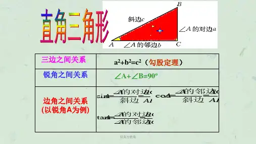 仰角与俯角课件
