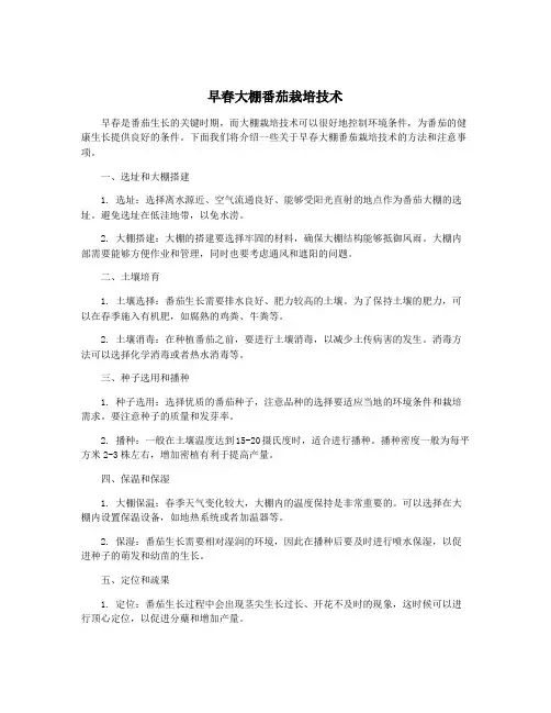 早春大棚番茄栽培技术