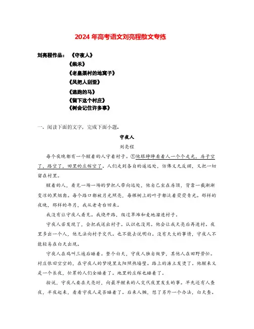 2024年高考语文阅读之刘亮程散文专练(全国通用)解析版