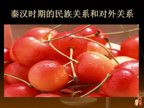 秦汉时期的民族
