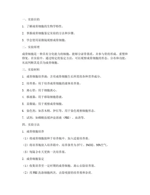 成骨细胞的鉴定实验报告