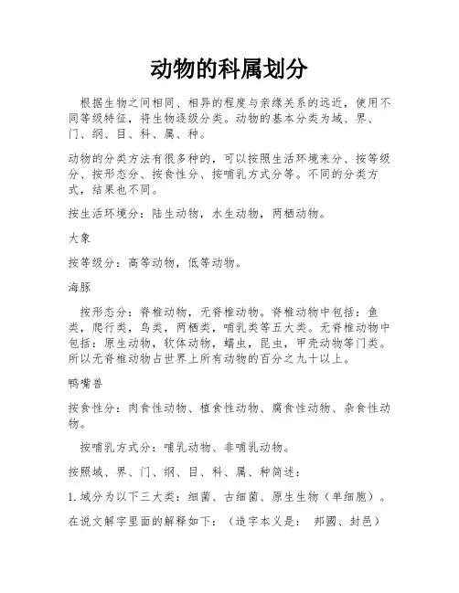 动物的科属划分