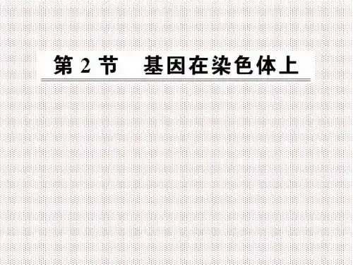 2.2《基因在染色体上》课件(人教版必修2)