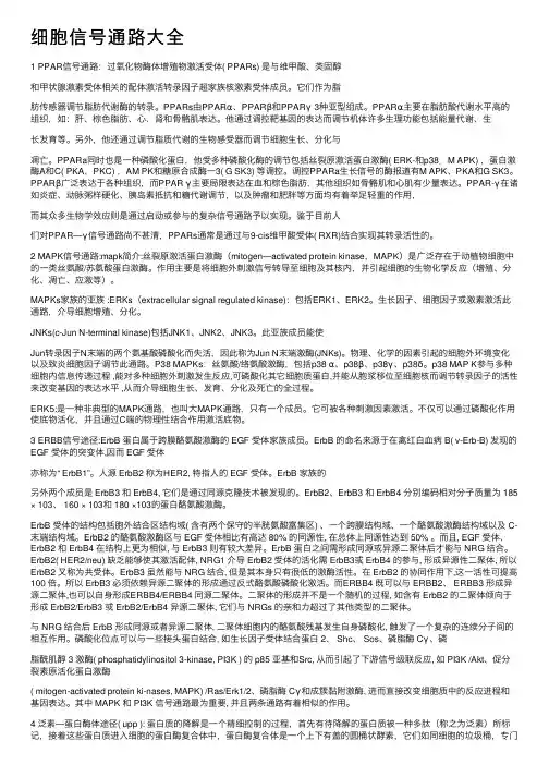 细胞信号通路大全