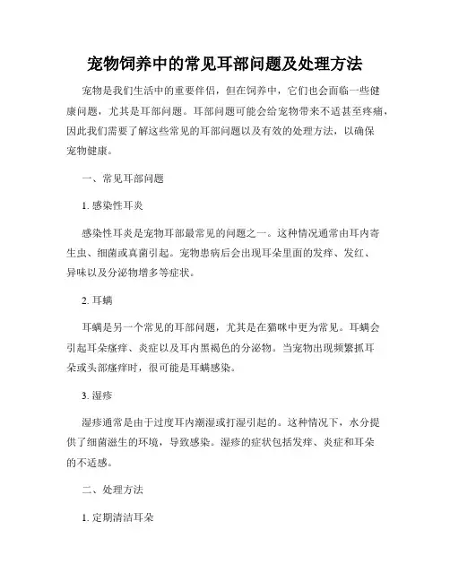 宠物饲养中的常见耳部问题及处理方法