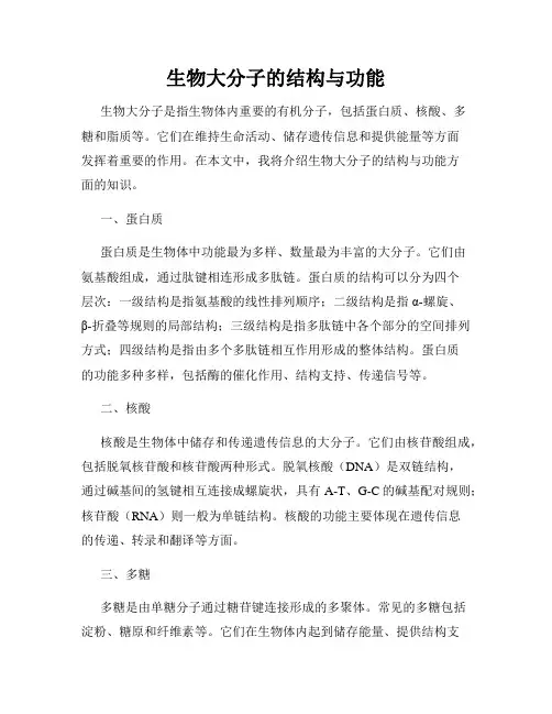 生物大分子的结构与功能