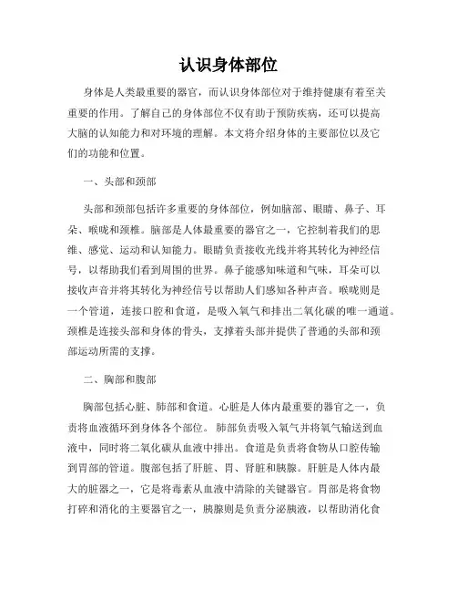 认识身体部位