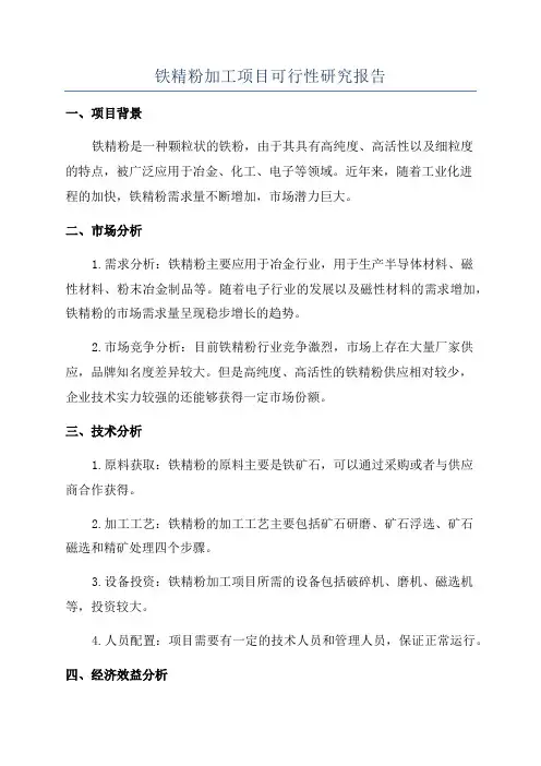 铁精粉加工项目可行性研究报告