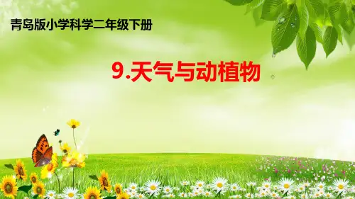 二年级下册科学课件-天气与动植物  青岛版(六年制)