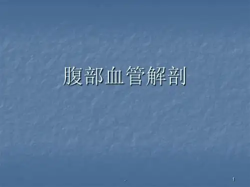 腹部血管解剖PPT课件