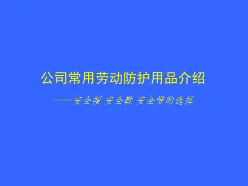 个人劳动防护用品的使用和维护安全培训-(1)