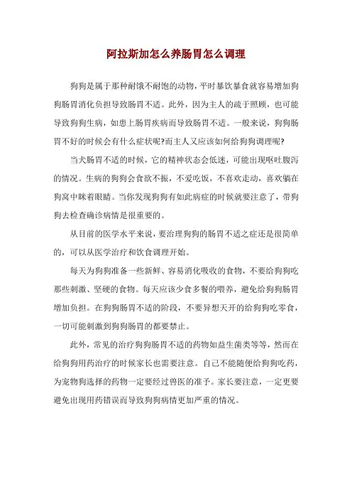 阿拉斯加怎么养 肠胃怎么调理