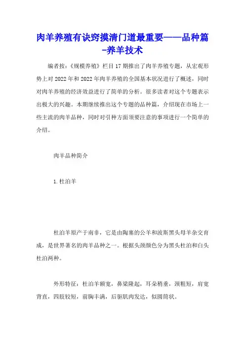 肉羊养殖有诀窍 摸清门道最重要——品种篇 - 养羊技术