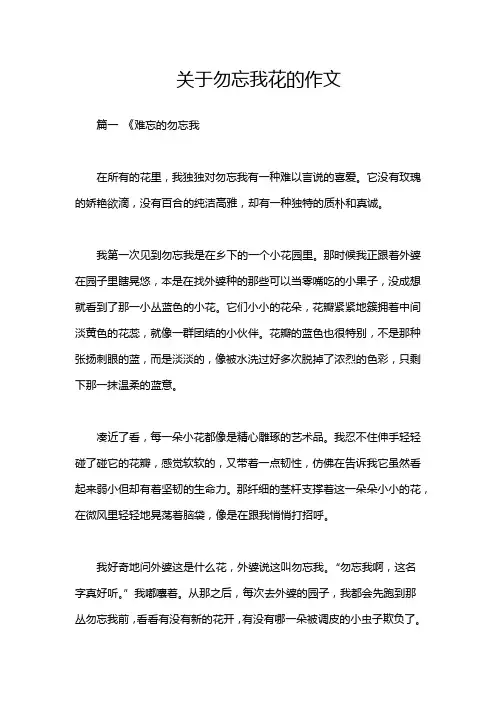 关于勿忘我花的作文