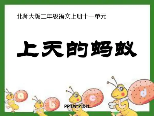 上天的蚂蚁课件下载