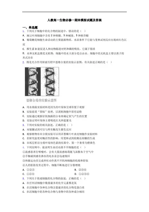 人教高一生物必修一期末模拟试题及答案