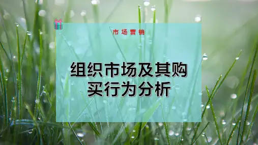 组织市场及其购买行为分析-PPT模板